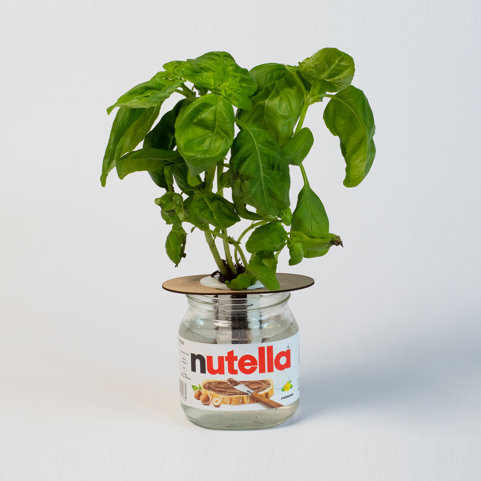 Shroot: Kabloom Seedboms - Wholesale Plant Seeds - Bottle Farm Mini Kit - Indoor Hydroponic Herb Basil Grow Kit9