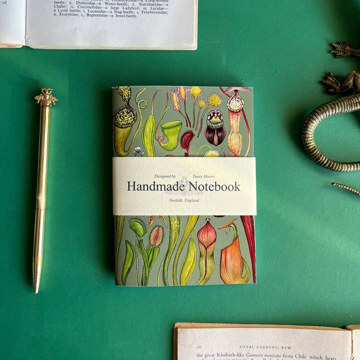 Tansy Moore - Vente Cahiers - Ensemble de carnets de poche Plantes7