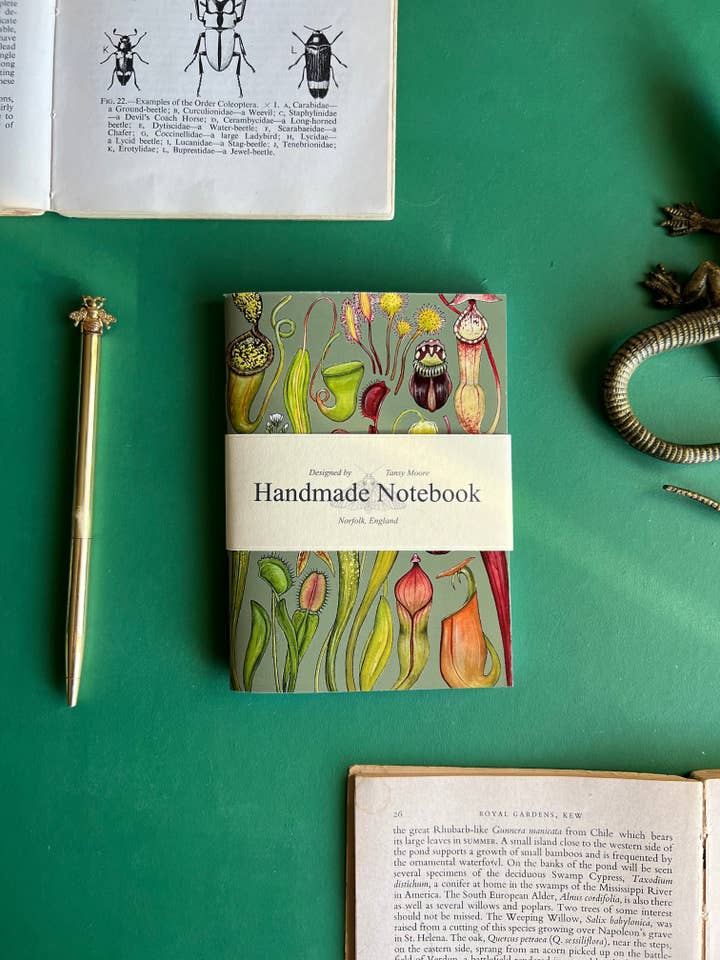 Carnivorous Plants Pocket Notebook for wholesale by Tansy Moore