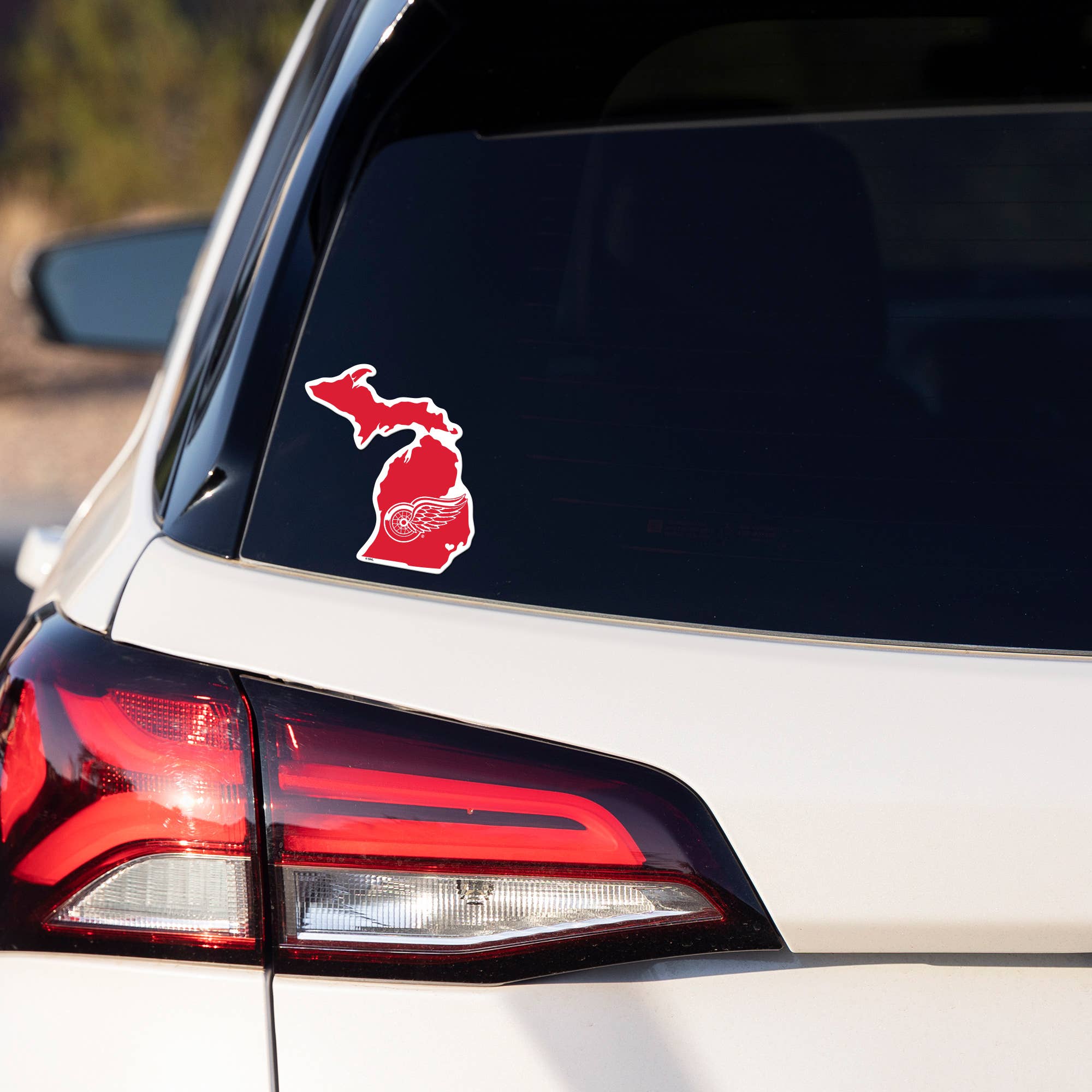 Rico Industries - Wholesale Sticker - NCAA  South Carolina Gamecocks  Home State Sticker2