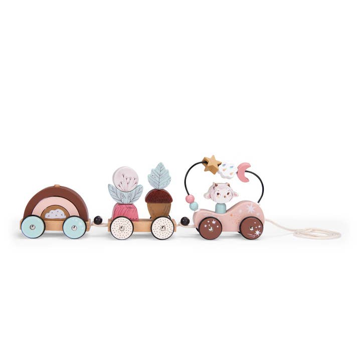 MOULIN ROTY by Speedy Monkey - Wholesale Wood Toy - Kids - Pull Along Activity Train After the Rain