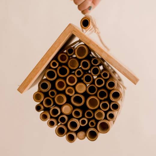 Casa de abejas colgante para venta al por mayor de Q Toys