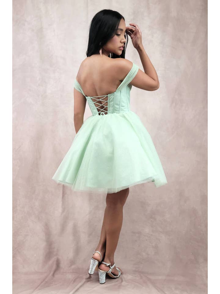 Chicas - Wholesale Dress - Women's - Short Off The Shoulder Tulle Dress With Brooch33