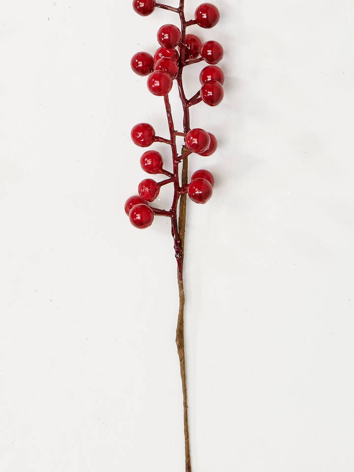 10" Wp Berry Pick for wholesale by WORTH IMPORTS