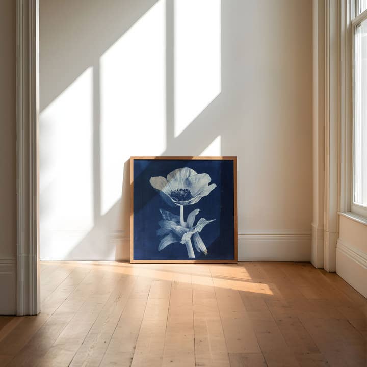 Wild Folklore by Alyson Brown - Wholesale Art Print - Anemone I - Fine Art Flower Print2