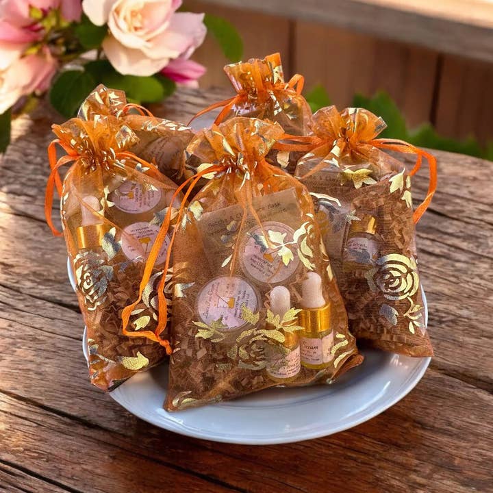 BeakerGold LLC - Wholesale Facial Care Set/Kit - Facial Sampler Set0