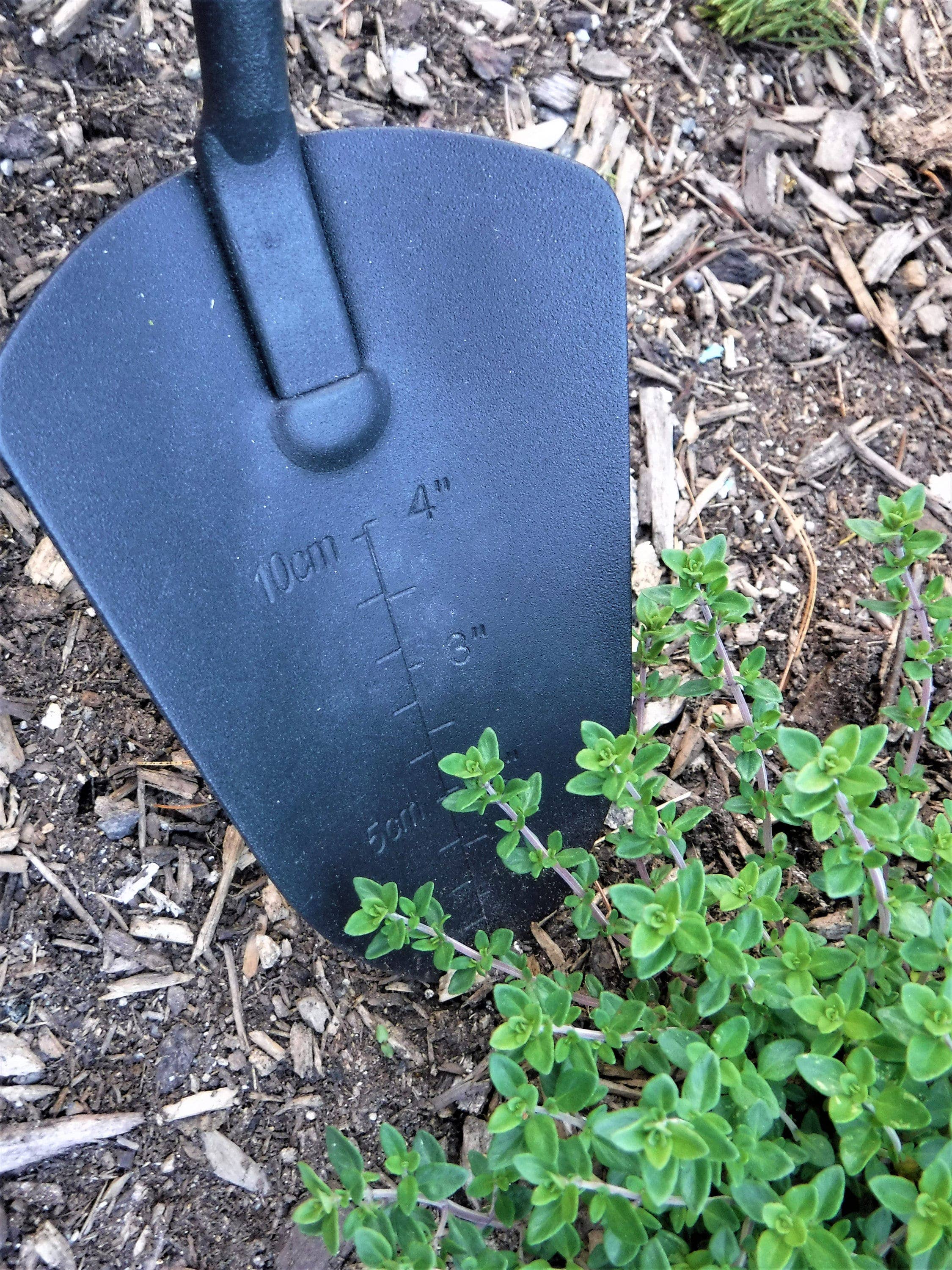 Gardinnovations - Venta al por mayor Herramientas de jardín - Set de herramientas de jardín con mangos de madera y colgadores de cuero4