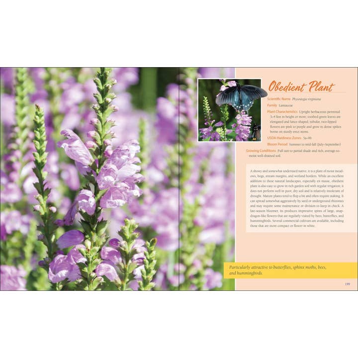 AdventureKEEN - Wholesale Book - Adult - Native Plant Gardening: Southeast