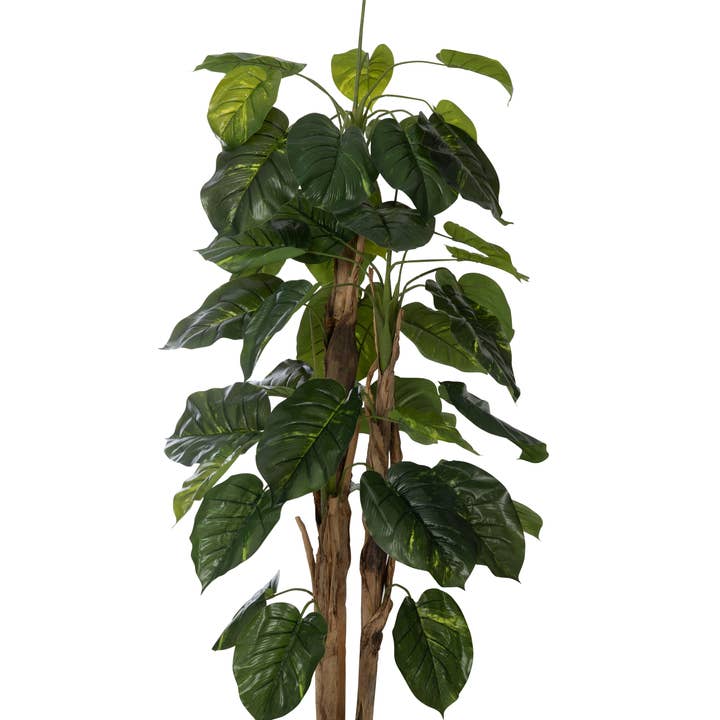 Scindapsus Aureus 80,25", C/ Burlap em Plantador de Resina por atacado de Vintage Home