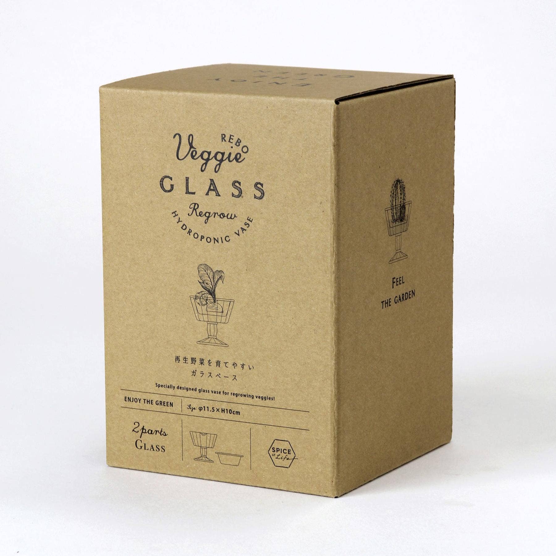 Time Concept - Vendita all'ingrosso Vasi - Vasi idroponici ReGrow per verdure15