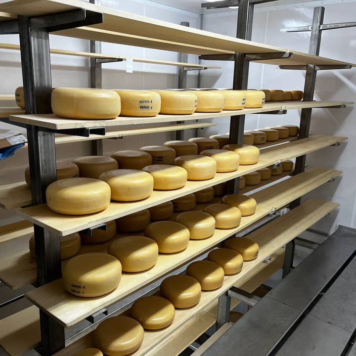 Kasemeister Creamery - Wholesale Cheese - Aged Gouda 6