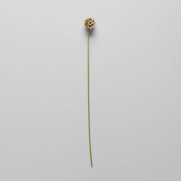 Bloomist - Wholesale Artificial Flowers - EcoFaux Scabiosa Stem, 24"