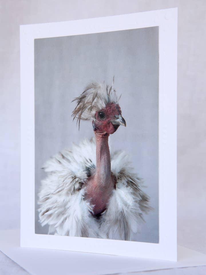 Blaze Crocus - Rescue - Handmade Greeting Card for wholesale by Sonoma Chicks