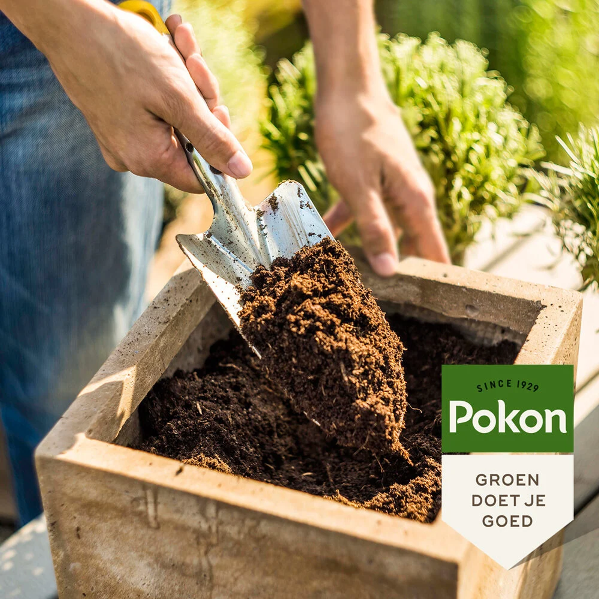 Oasis of Life - Wholesale Planting/Potting Soil - Pokon Flower Soil Compact – Coconut Soil 10 L – Universal Peat-Free Potting Soil for Home & Garden – Lightweight Coconut Fibers with Nutrients for 2 Months – Compressed Soil for Indoor & Outdoor Plants1