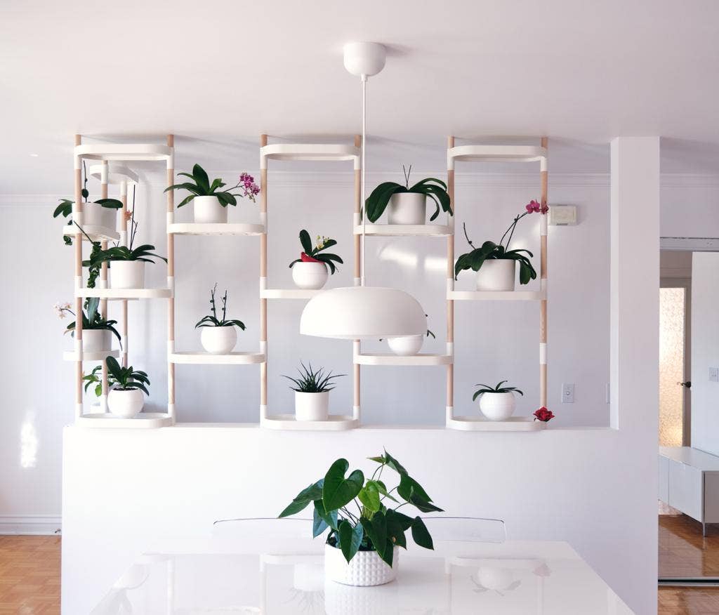 CitySens - Vendita all'ingrosso Mensole da parete - Scaffali modulari per piante CitySens8