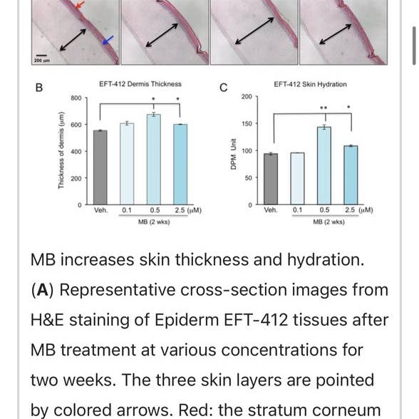 Aloe Tallow - Vendita all'ingrosso Sieri/creme concentrate per il viso - Siero Riparatore per la Pelle al Blu di Metilene e Sebo6