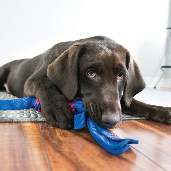 Pet Palette Distribution - Wholesale Pet Rope Toy - Dog - KONG® Tugga Wubba Dog Tug Toy Assorted Large