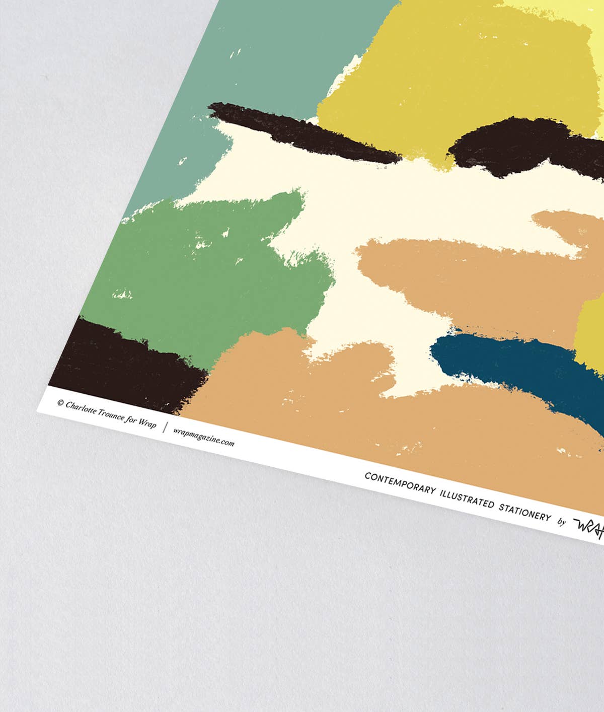 Wrap (US duties paid) - Wholesale Flat Wrap - Landshapes Gift Wrap3