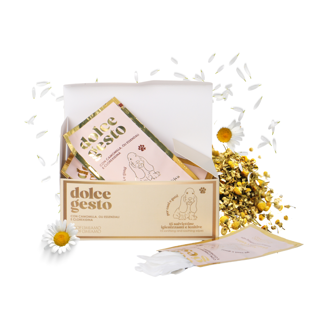 Profumiamo - Wholesale Pet Grooming Aid - Dog - DOLCE GESTO - Sanitizing Wipes For Animals2