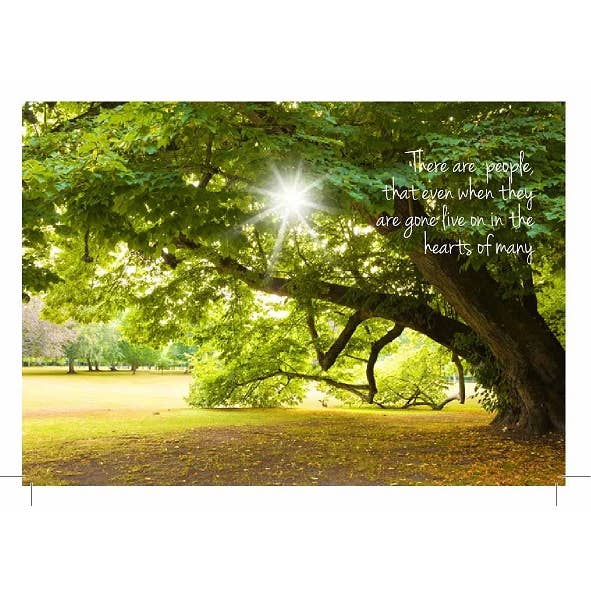 Sympathy "There Are People" Wordy Bird for wholesale by Wordy Bird Cards