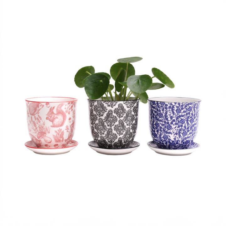 Chive - Wholesale Plant Pot - Liberte Indoor Porcelain Plant Pots