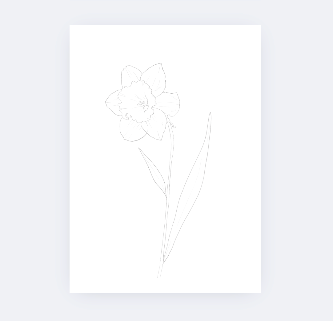 Sarah Ruth Frey - Wholesale DIY Craft Kit - Flowers Watercolor Kit8