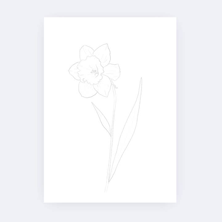 Sarah Ruth Frey - Wholesale Sketchbook/Sketchpad - Flowers Paintable Pages | Watercoloring Set2