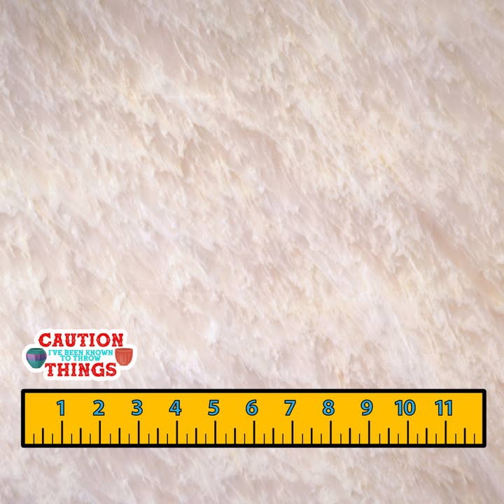 Dancing Dolphin Crafts - Wholesale Sticker - Caution I've Been Known to Throw Things | Sticker for Potter9