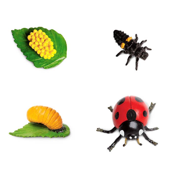 Safari Ltd. - Wholesale Figurine Toy - Kids - Life Cycle Of A Ladybug - 6627161