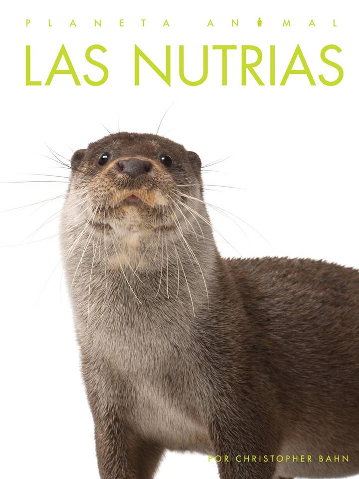 Le lontre per la vendita all'ingrosso da parte di The Creative Company