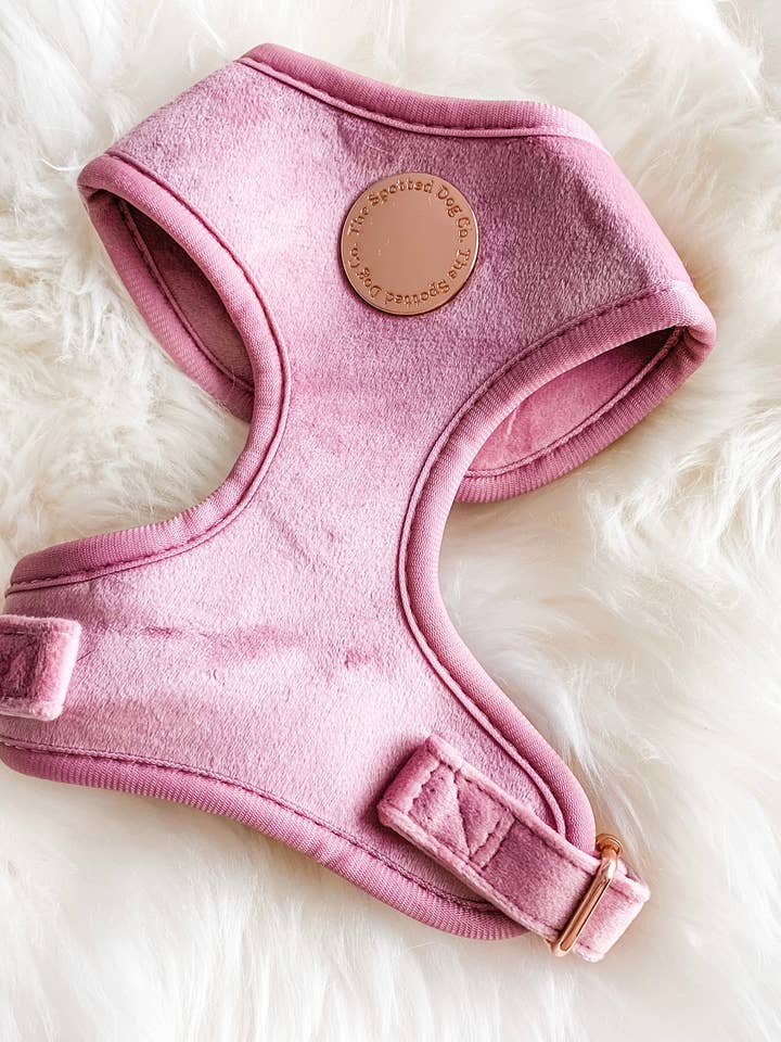 Pink Velvet Harness for wholesale by The Spotted Dog Company