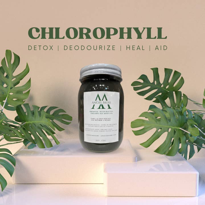 Sea Moss Gel and other Purchase Wholesale gel semipermanente jr. Free Returns & Net 60 Terms on Faire trending on Faire.