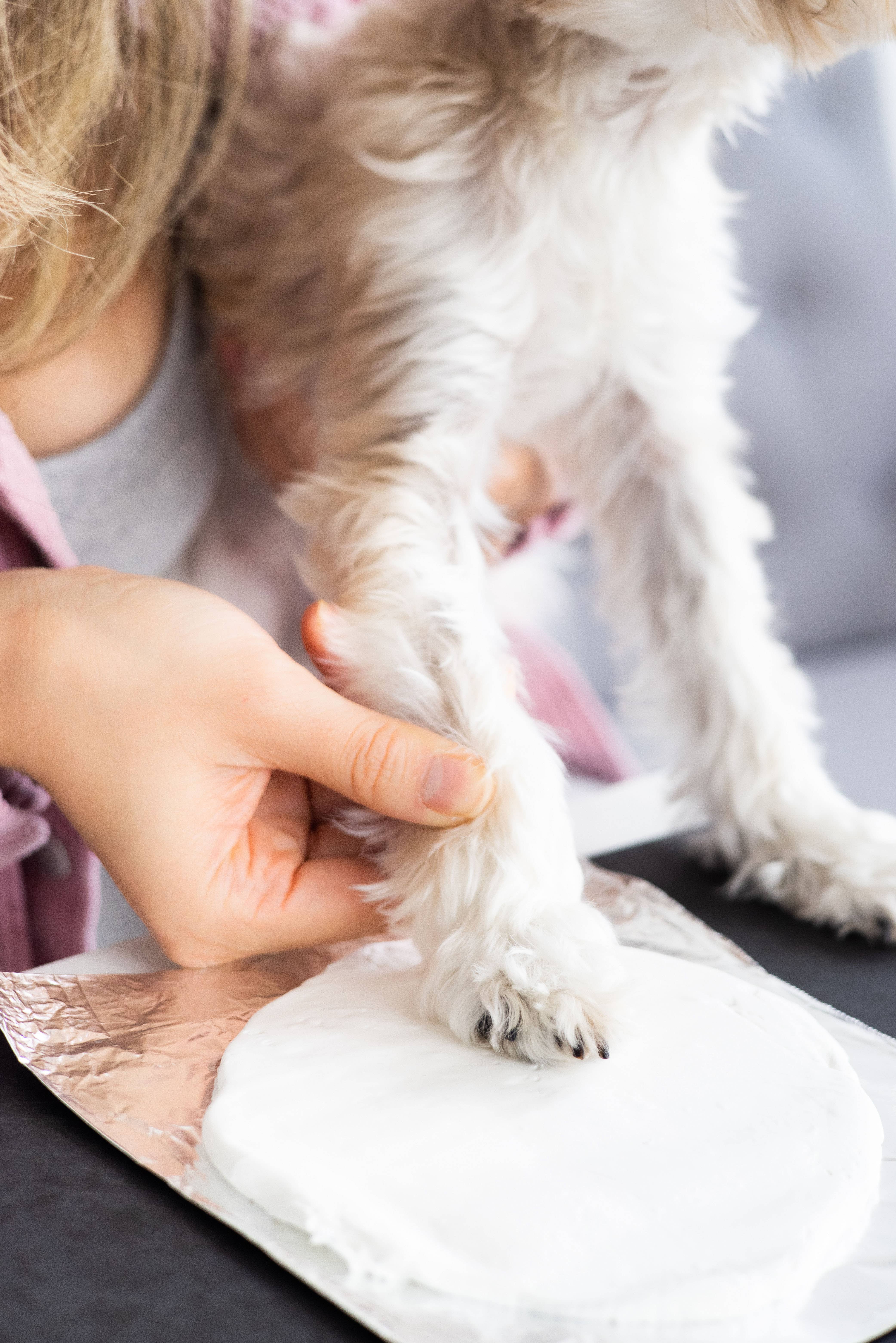 Pearhead - Wholesale Ornament - Pet Pawprint Christmas Keepsake Ornament6