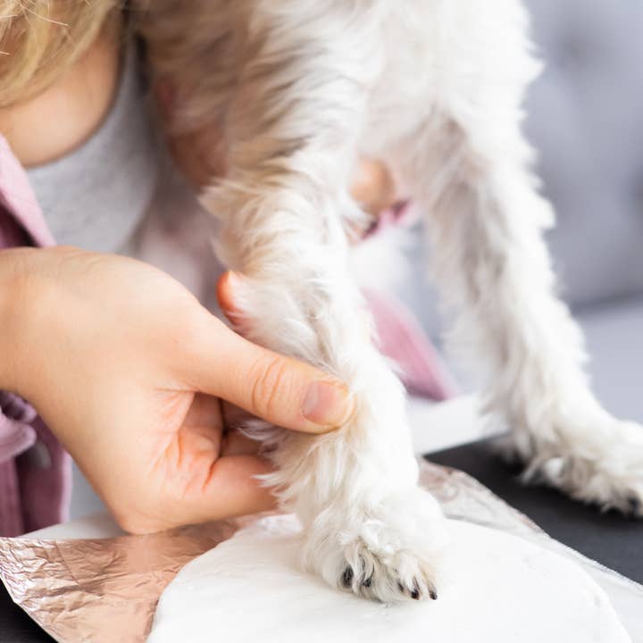 Pearhead - Wholesale Ornament - Pet Pawprint Christmas Keepsake Ornament6