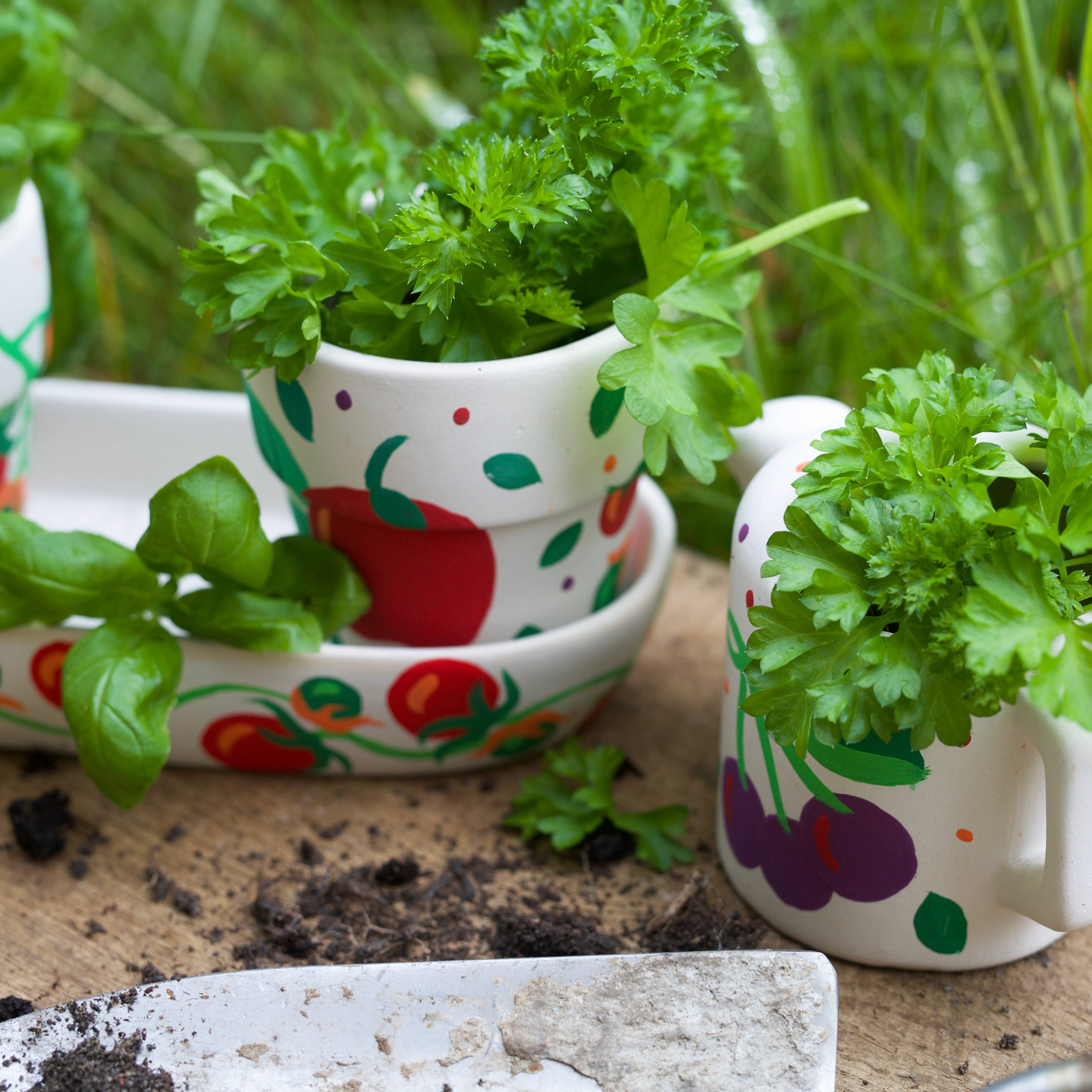 West Design Products – Pintura/desenho por atacado – RHS Paint Your Own Set, Branco, Kit de Artesanato, Janela para Jardim15