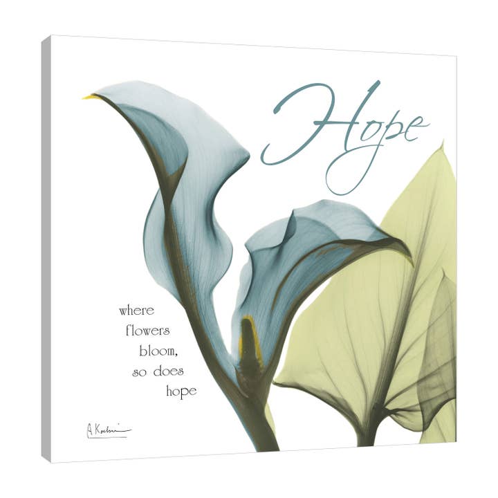 Calla Hope Gallery insvept duk för wholesale av Jaxson Rea