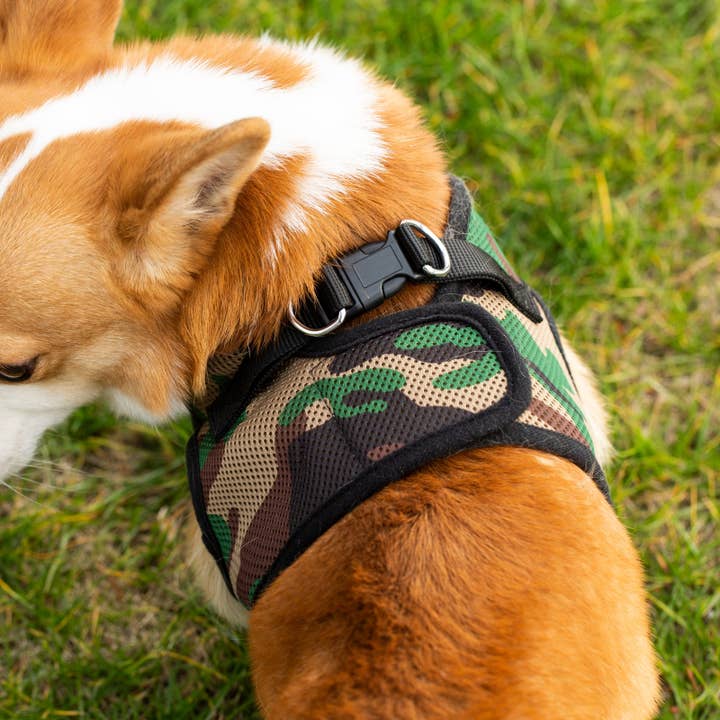 Mr. Peanut's – wholesale Sele - Hund – Mr. Peanuts PupTrek mjukt nätsele för husdjur med matchande koppel – justerbart, andningsbart, kvävningsfritt21