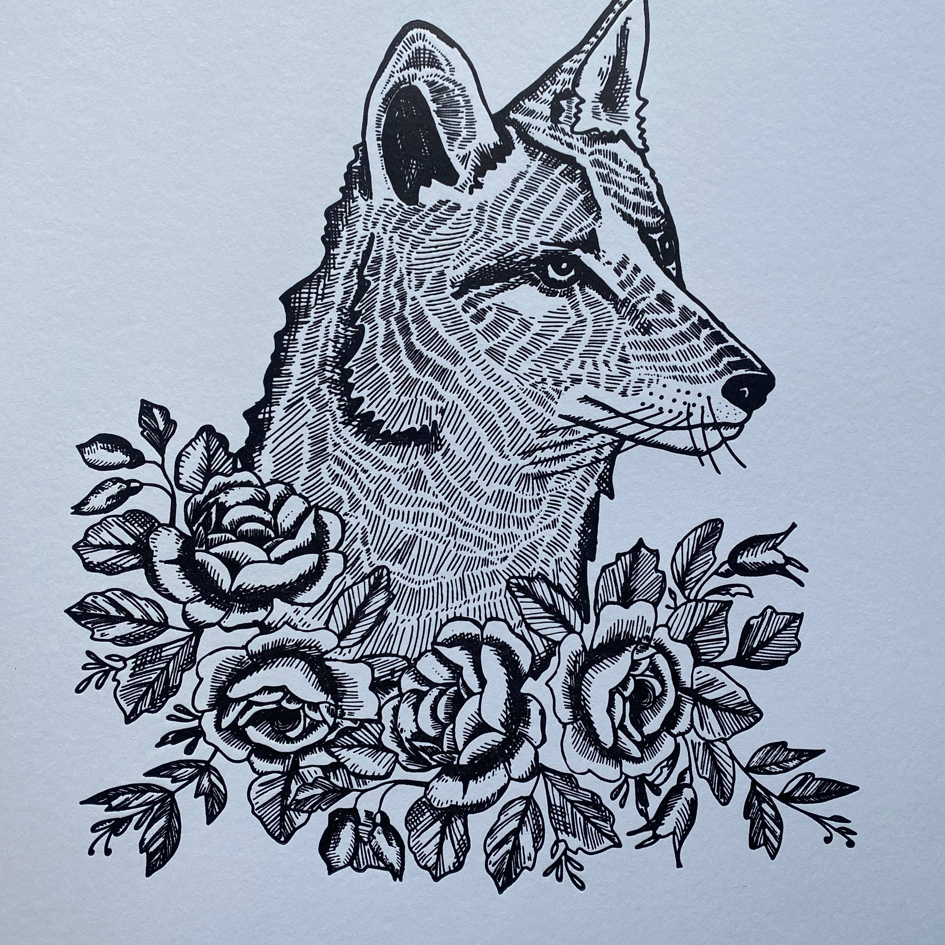 Ratbee Press - Wholesale Art Print - 11" x 14" Coyotes with Roses Print1