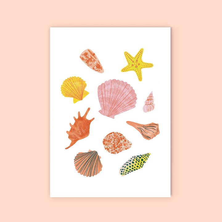 Lauren Sissons Studio - Wholesale Everyday greeting card - Seashells Greeting Card - Illustrated Shells Card | Beach2