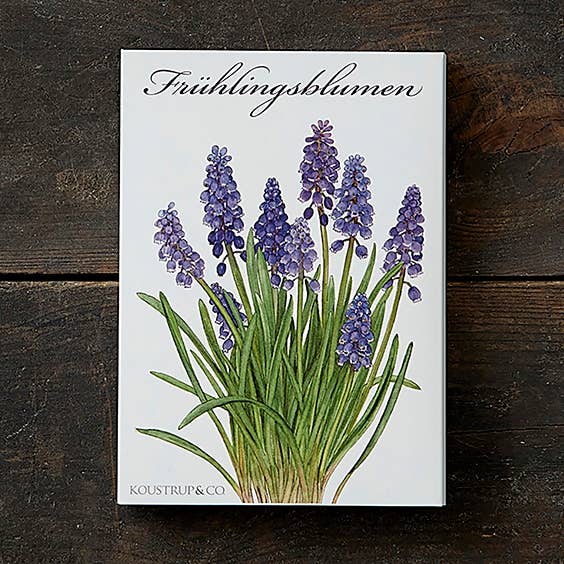 Cardfolder Frühlingsblumen - 8 cards w/envelopes (german) and other Purchase Wholesale fruchtstern sirup. Free Returns & Net 60 Terms on Faire trending on Faire.