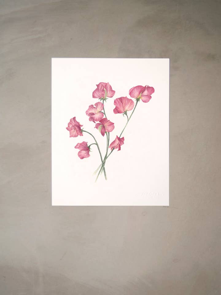 Sweetpea Akvarel Artprint 8 „x10" for engroshandel hos Seniman Calligraphy