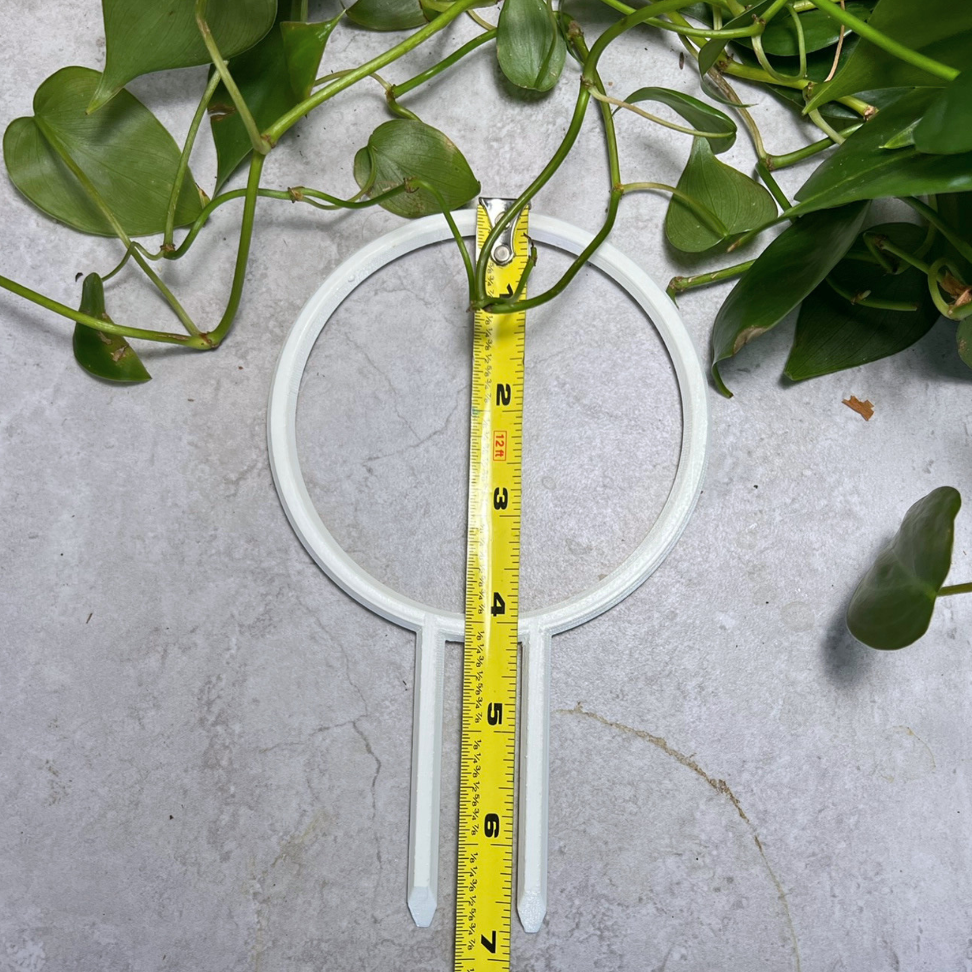 Floraform Creations - Wholesale Trellis - Hoop Shaped Eco-Friendly Lightweight Houseplant Trellis 1