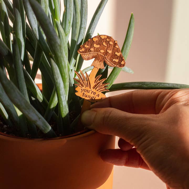 Hereafter - Wholesale Garden/lawn stake - You're a Fungi Mushroom Wood Plant Pick1
