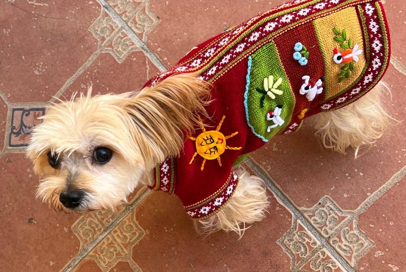 MODA LATINA - Vendita all'ingrosso Maglione - Cani - Maglione di lusso per cani peruviani con cerniera posteriore1