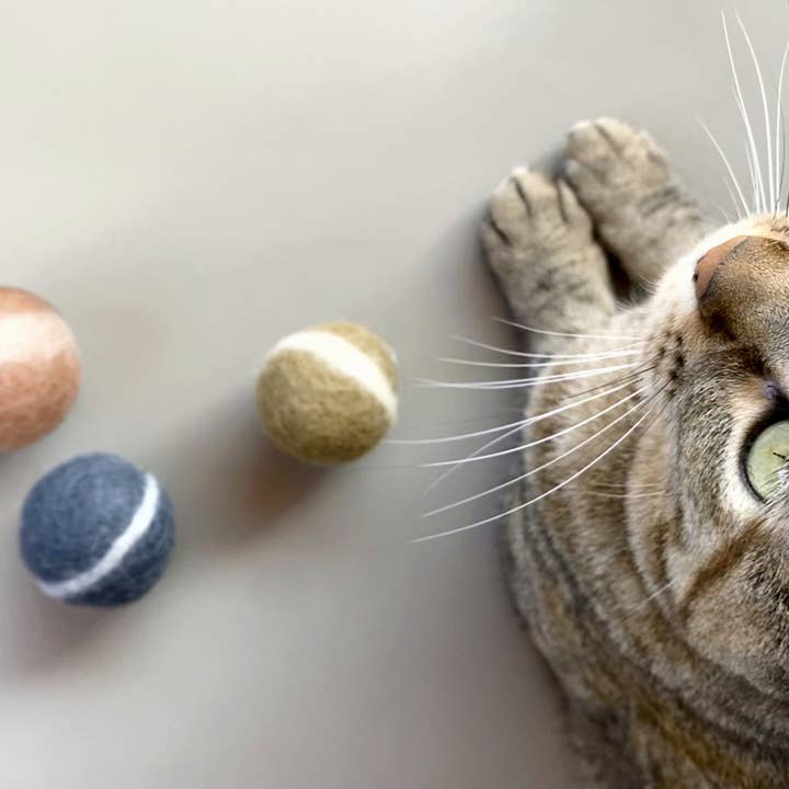 Mishum - Wholesale Pet toy – Cat/dog - Dog and Cat Toy Felt Playballs2