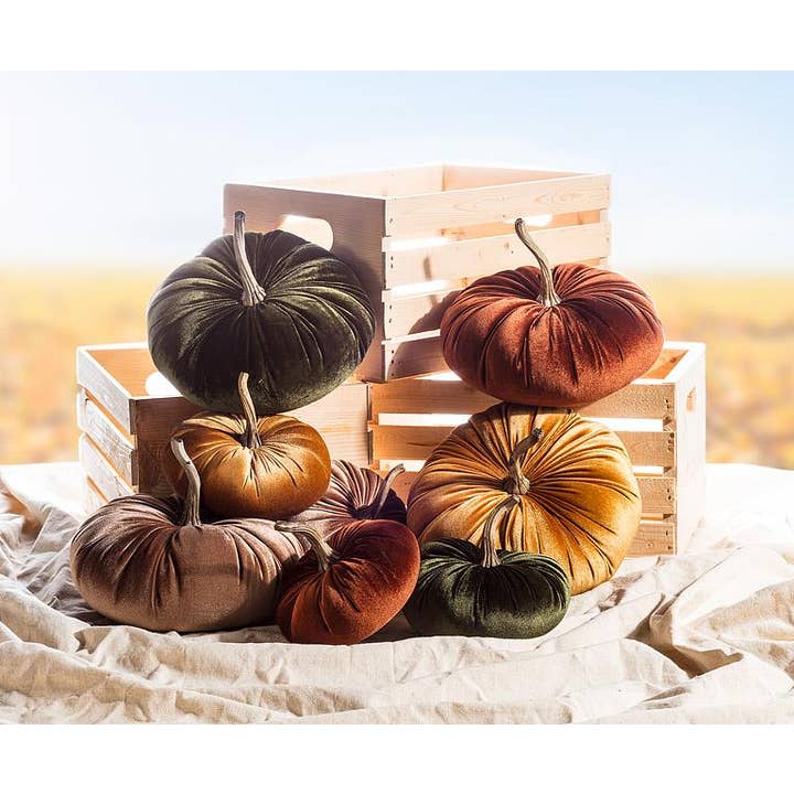 Abbott - Wholesale Decorative Tabletop Object - Velvet Pumpkin - 4 Assorted 10"D7