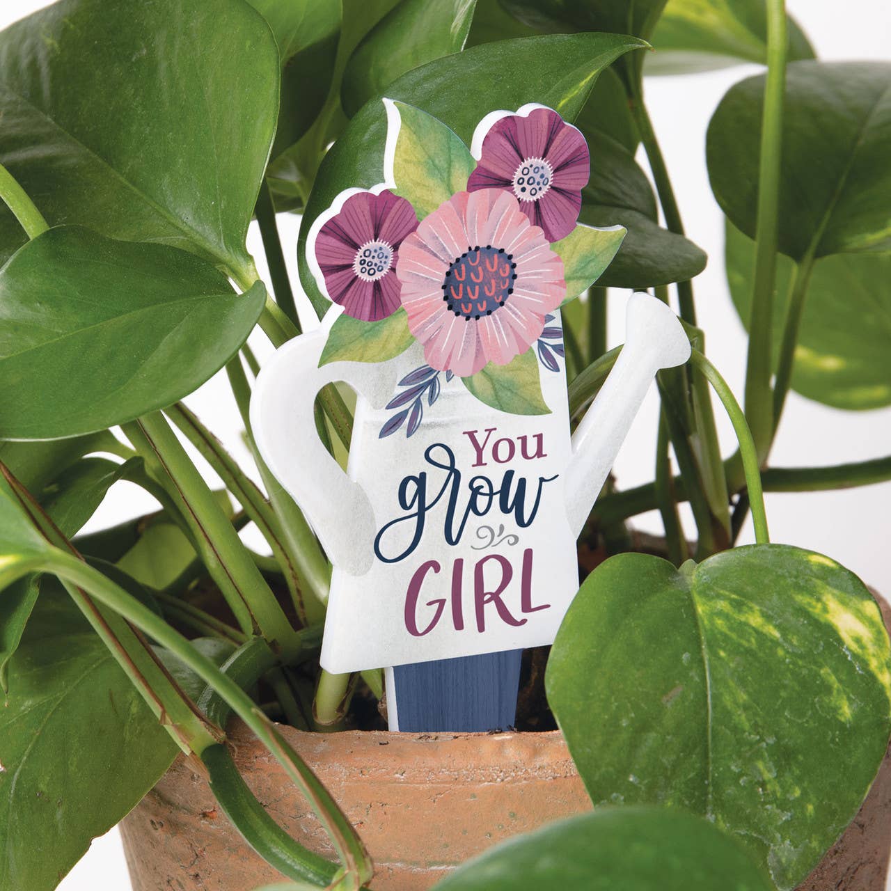 P. Graham Dunn - Vente Piquets de jardin/pelouse - Plant Pals - Tu pousses, fille