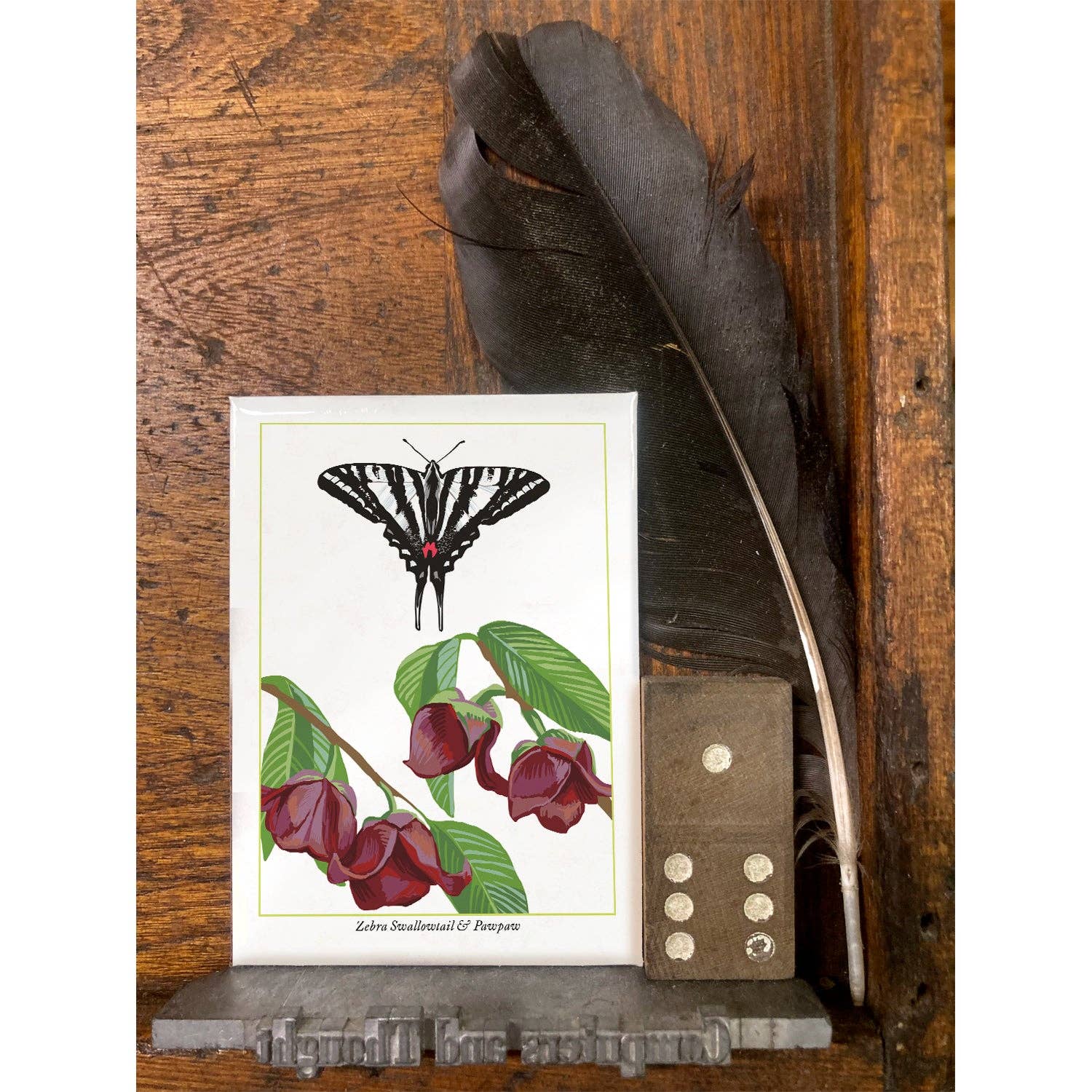 Rigel Paper - Wholesale Magnet - RBU-752 Zebra Swallowtail Butterfly Magnet2