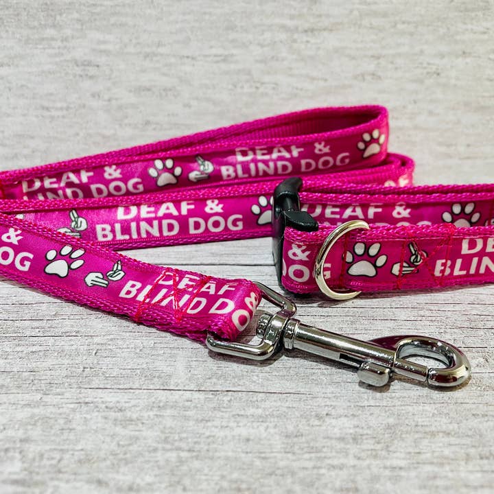 Deaf and BLIND DOG Ribbon Puppy collare per la vendita all'ingrosso da parte di Dottie's Pet Boutique
