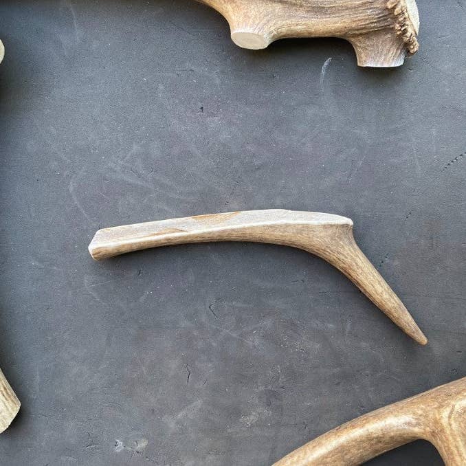 Sawtooth Antler Chews - Wholesale Pet Chew Toy - Dog - Dog Antler Chews21